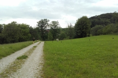 Startnummer 436:
