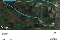 Startnummer 133: Screenshot Runtastic