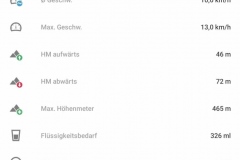 Startnummer 133: Die Daten zum Lauf