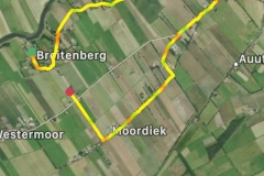 Startnummer 493: