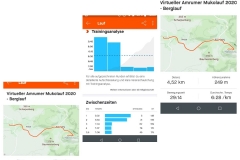 Startnummer 356: Virtueller Amrumer Mukolauf 2020. Berglauf. 
Bei jeder Krankheit soll es bergauf gehen - der Weg ist oft nicht immer leicht. 
Daher ging es für mich bei dem Lauf nur bergauf auch wenn es Mal zwickt.