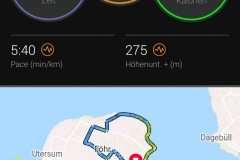 Startnummer 41: Moin von Föhr!
Ich habe heute auf einer Strecke von 26,5 km dem Südwind und dem Regen getrotzt.