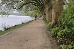 Startnummer 156: Liebe Grüße an alle,  ich bin 26,5km in 2:16:52 gerannt.  Liebe Grüße aus Essen und Danke fürs Organisieren, Gabi