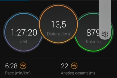 Startnummer 1014: In Dänemark mit Gegenwind und durch Dünen und Kiefernwald - fast wie im Original!