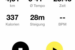 Startnummer 1041: Der Screen vom Lauf